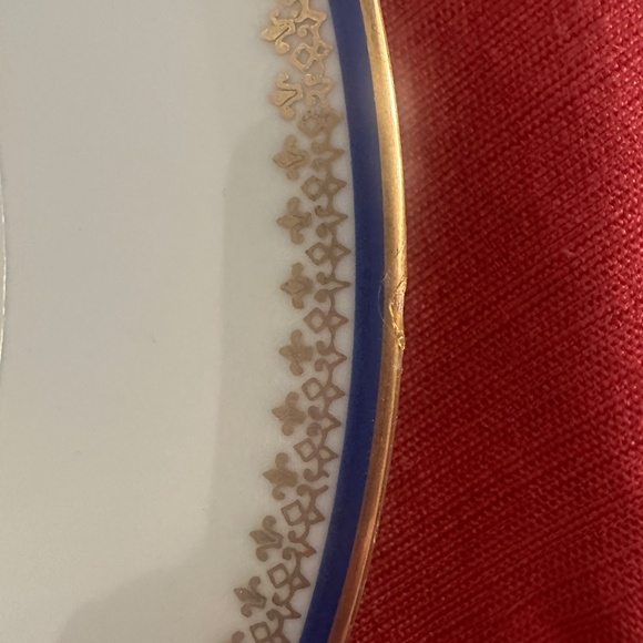 Vintage Schlaggenwald “Vienna” Porcelain Dinner Plates,Czechoslovakia, Set of 12 - Picture 3 of 5